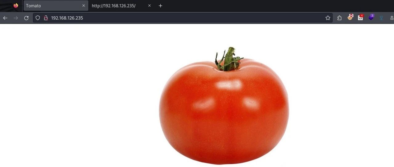 Example Image