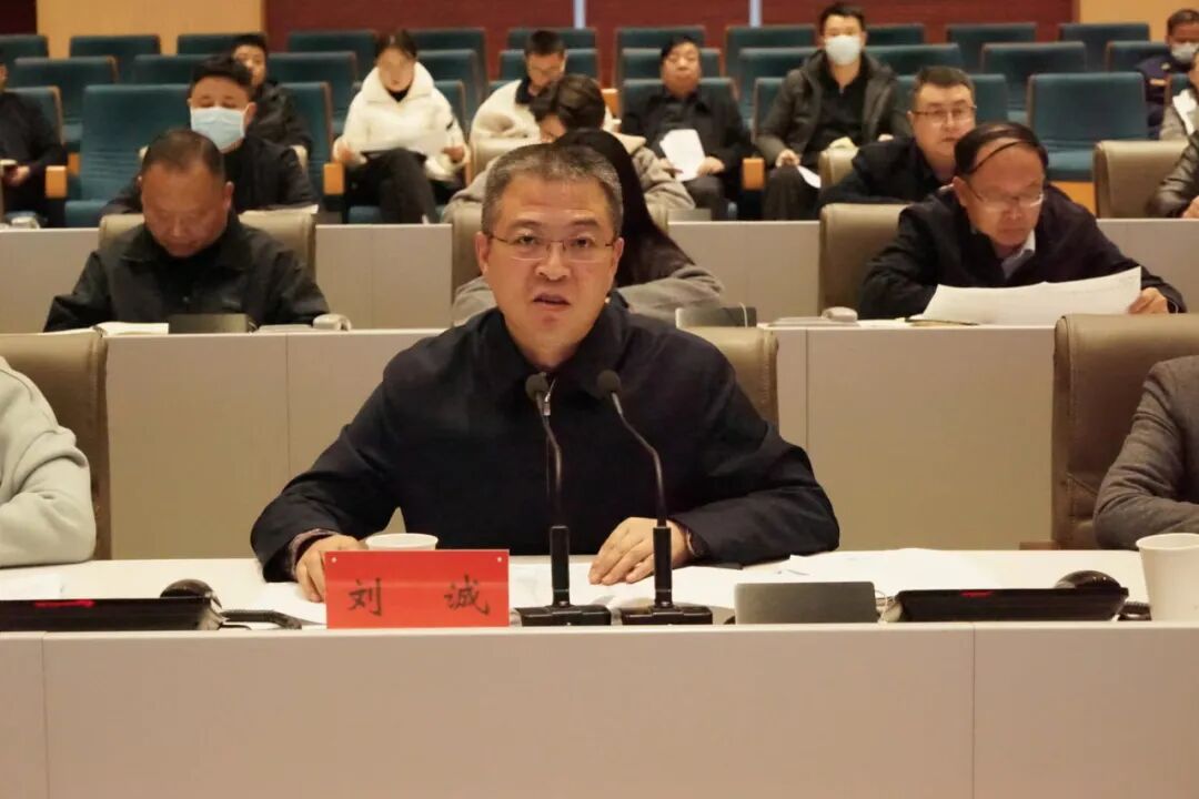 陇南市召开全市数字政府政务服务能力提升推进会