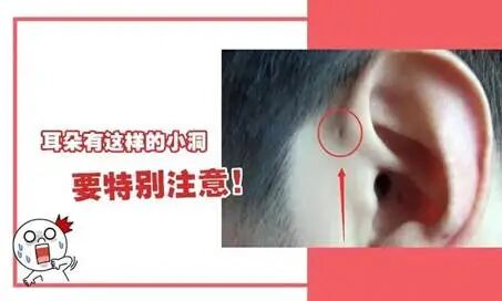 点击查看图片来源
