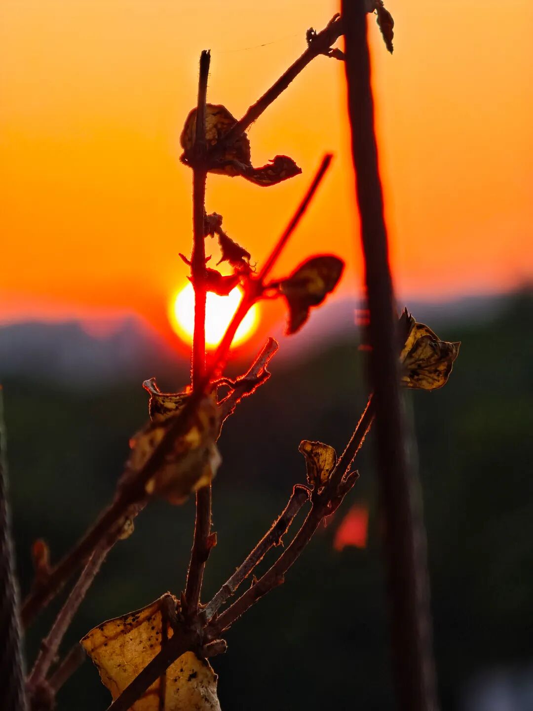 ���ݻ���ͬ��ѧУ