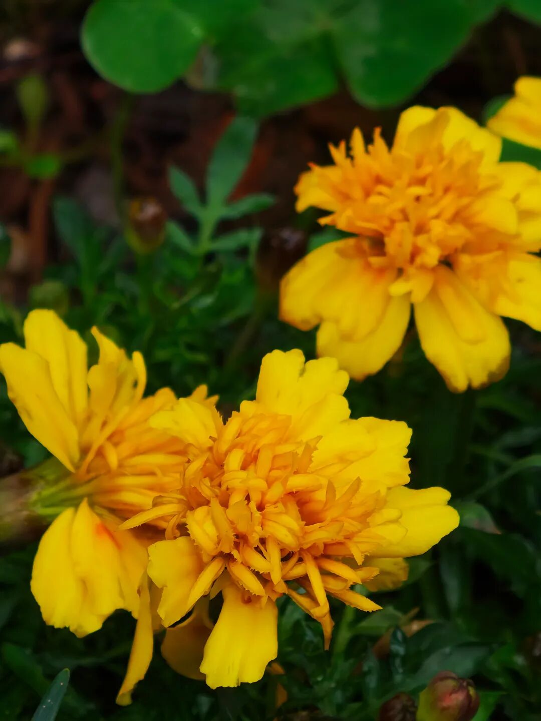 ���ݻ���ͬ��ѧУ