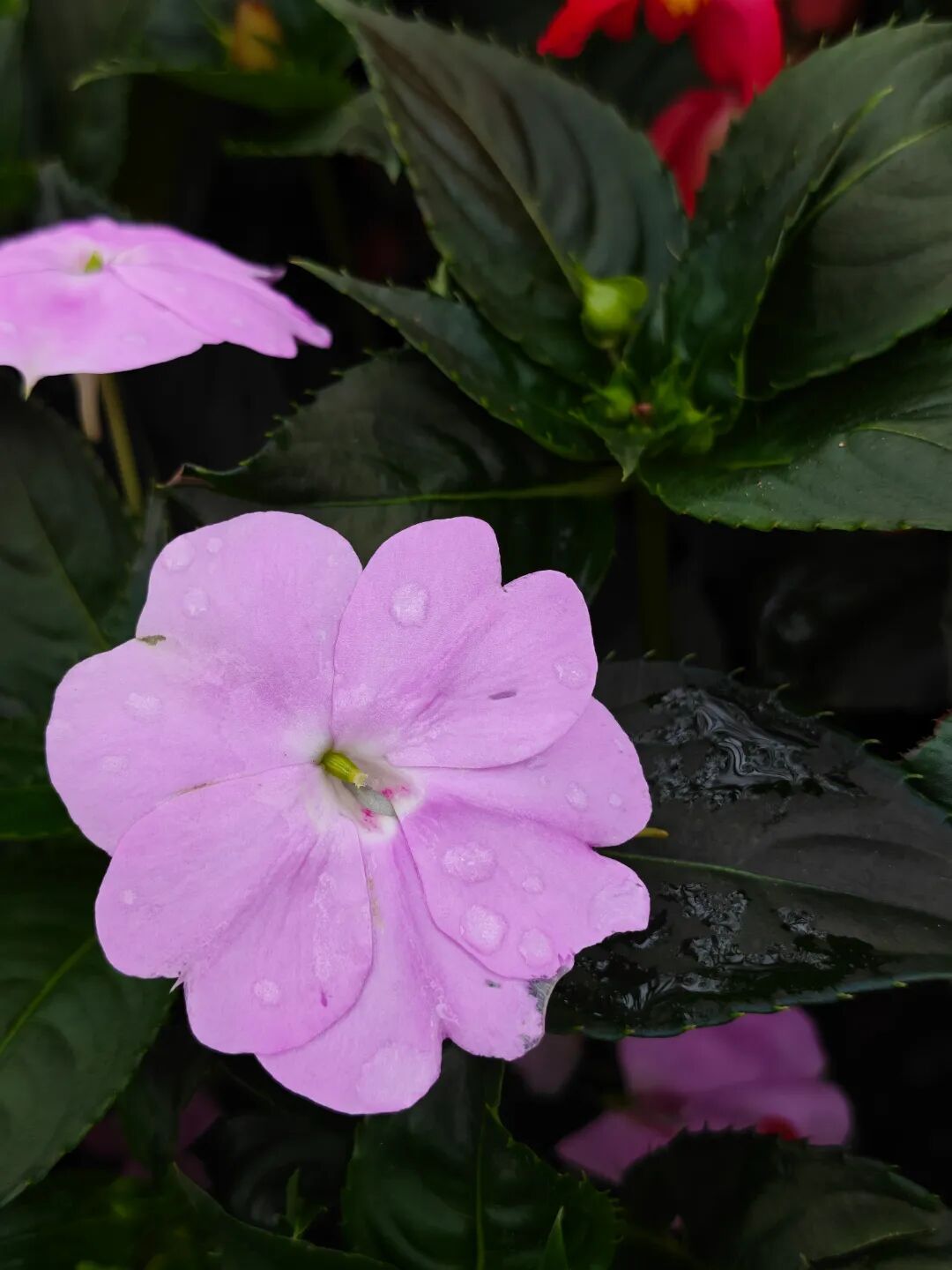 ���ݻ���ͬ��ѧУ