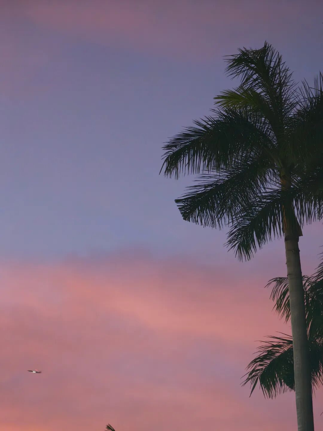 ���ݻ���ͬ��ѧУ