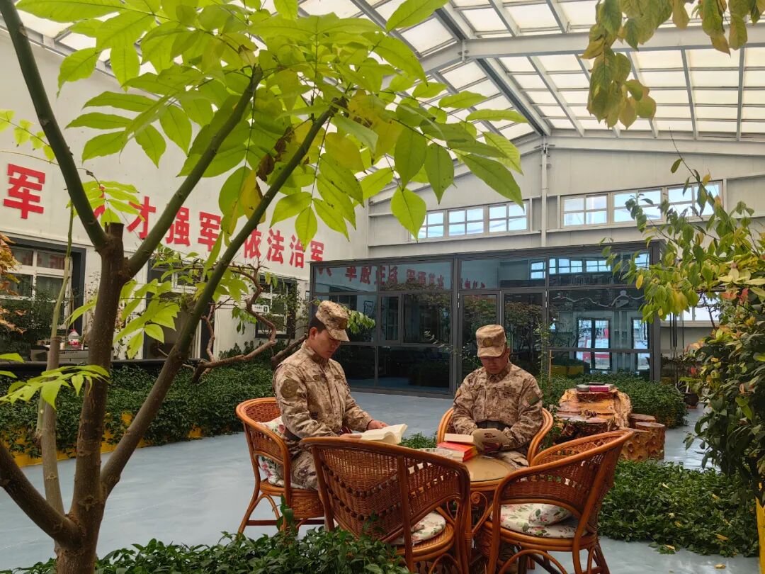 在川藏线上海拔最高的兵站,如何把树种活?