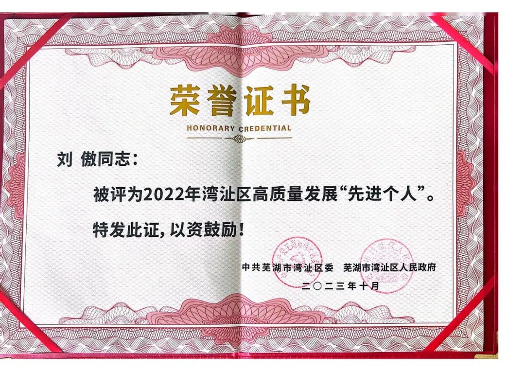 喜报！易恒云创创始人刘傲获湾沚区高质量发展“先进个人”表彰