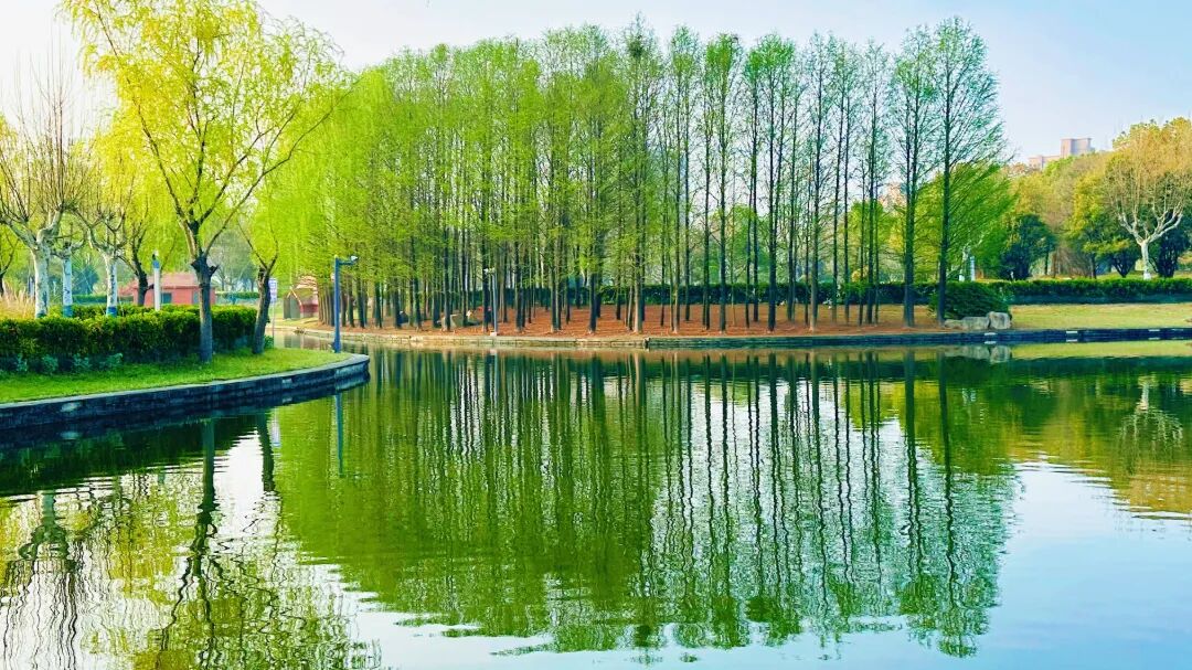微信图片_20260406132611_89_365.jpg