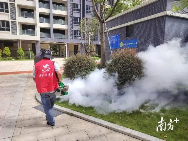 濠江区礐石街道澳头社区组织志愿者灭蚊消杀 通讯员&ensp; 供图