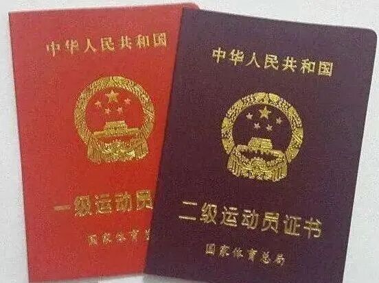 专业介绍丨运动训练（马术运动训练）(图2)
