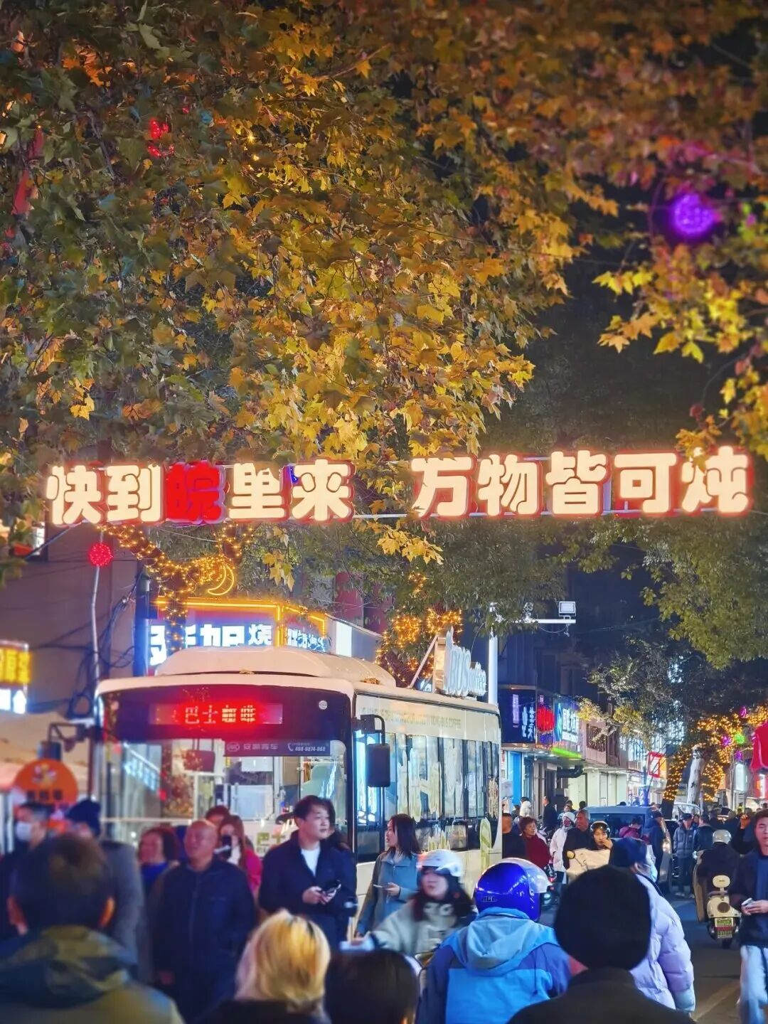 111.jpg
