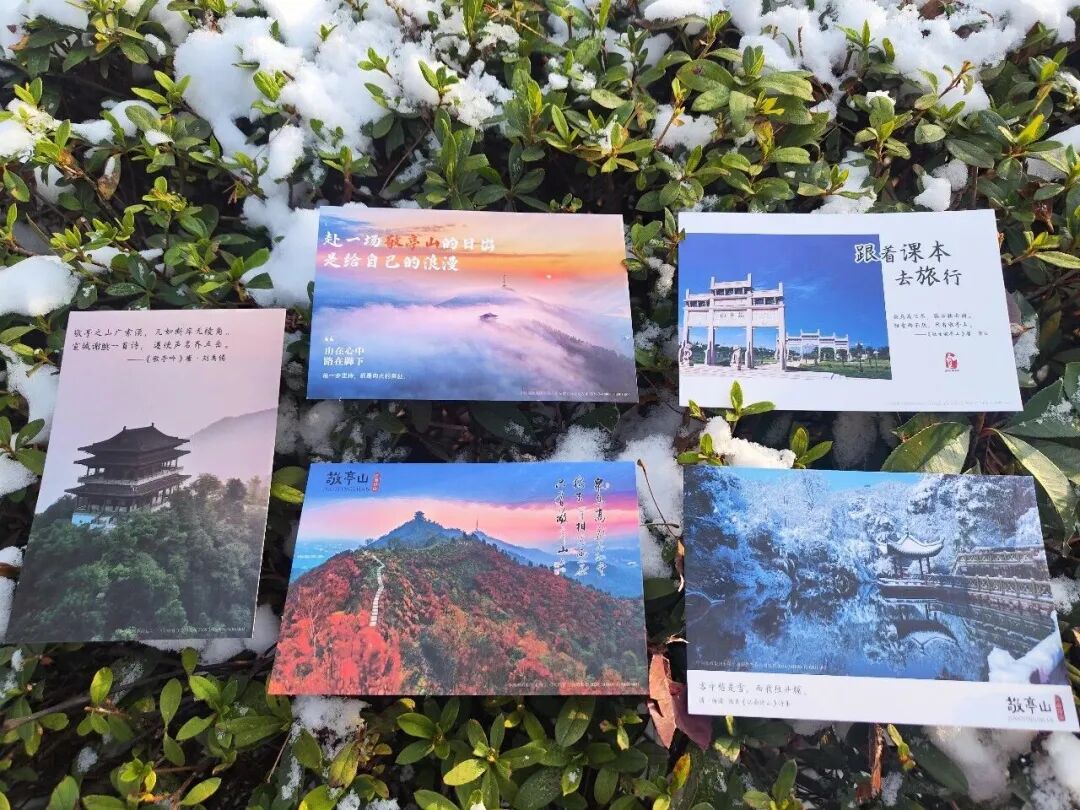 明信片2.jpg