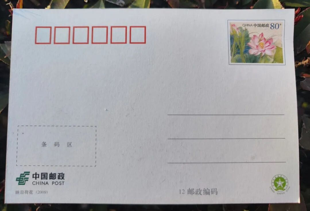 明信片5.jpg