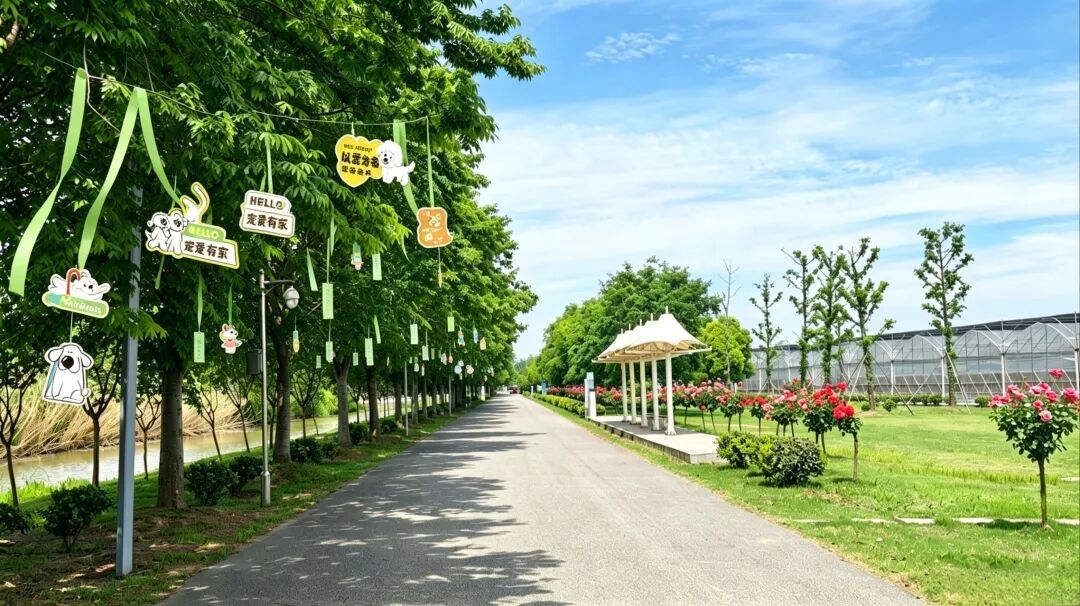 核心亮点 (2).jpg