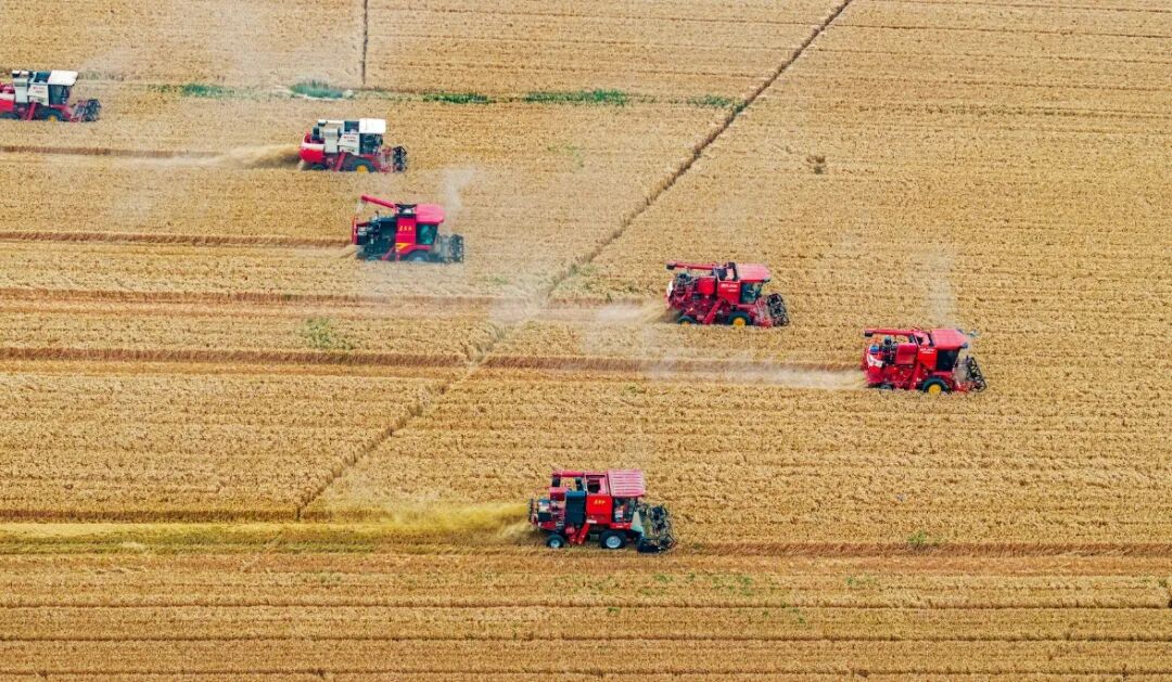 农业 粮食_20250528161413.jpg