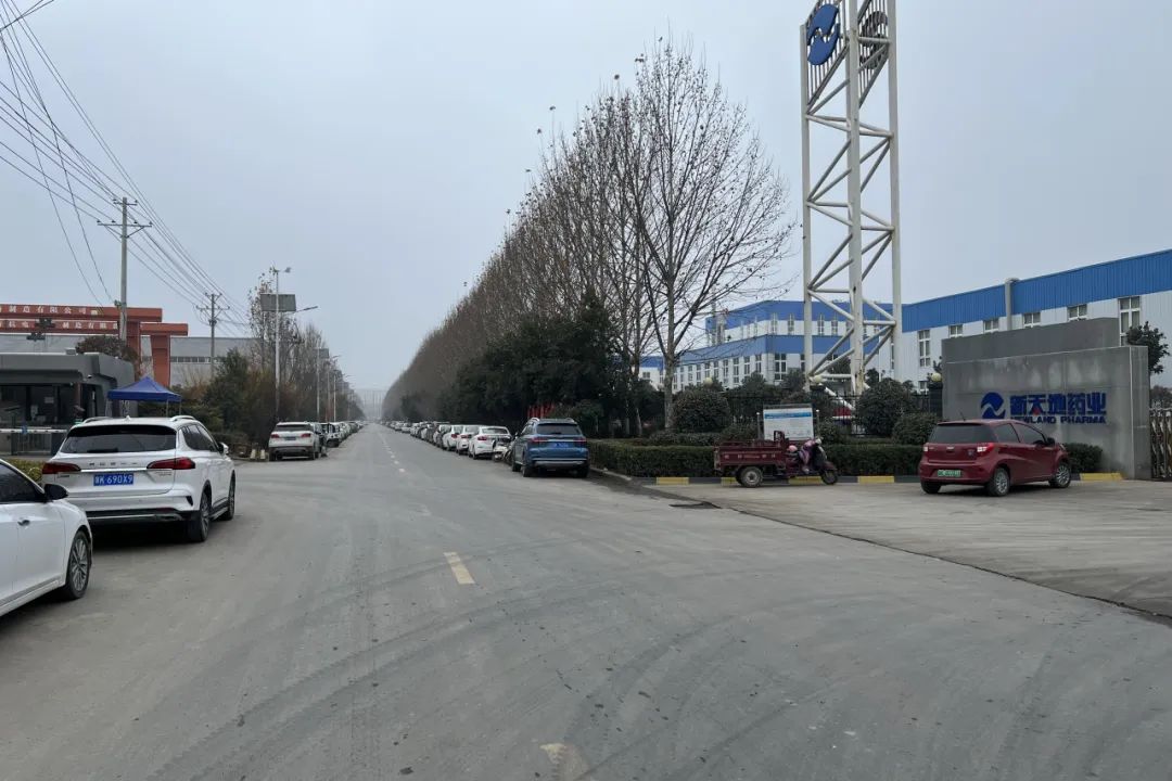 企业建站有哪些步骤_企业站建设_企业建站的条件
