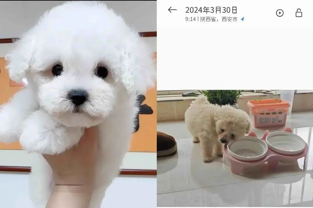 “免费养宠”，不应成为商家的套路