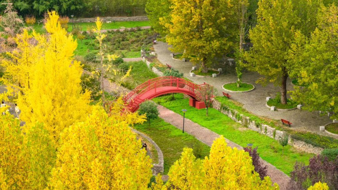 DJI_20251031163003_0167_D.jpg