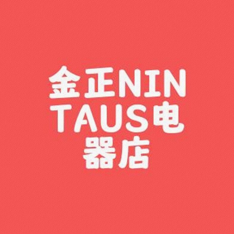 金正NINTAUS电器店标识