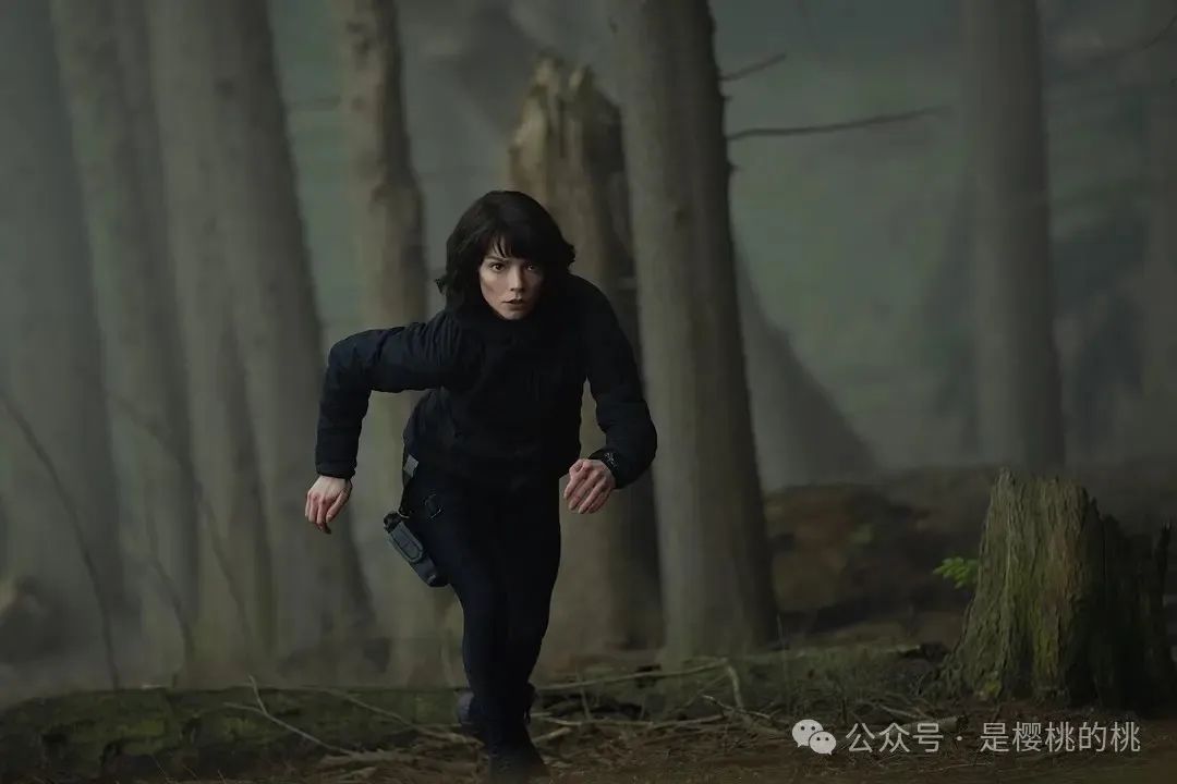 峡谷完整版2025抢先