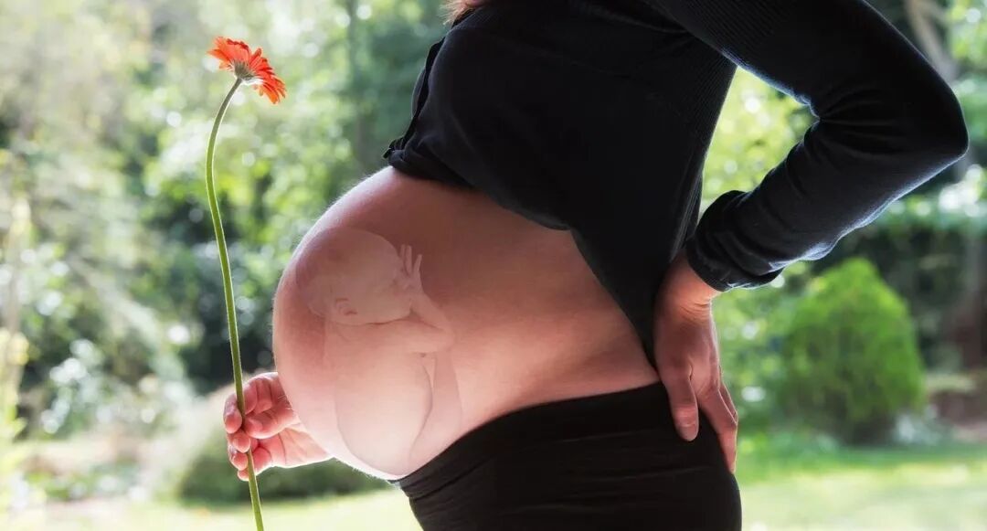 640_wx_fmt=jpeg&from=appmsg&tp=webp&wxfrom=5&wx_lazy=1&wx_co=1.webp (4).jpg