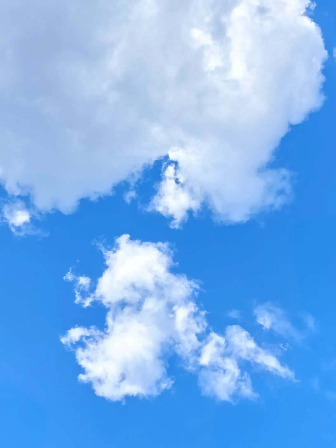 79e7590e855b2ff936eed549bce7e461.jpg