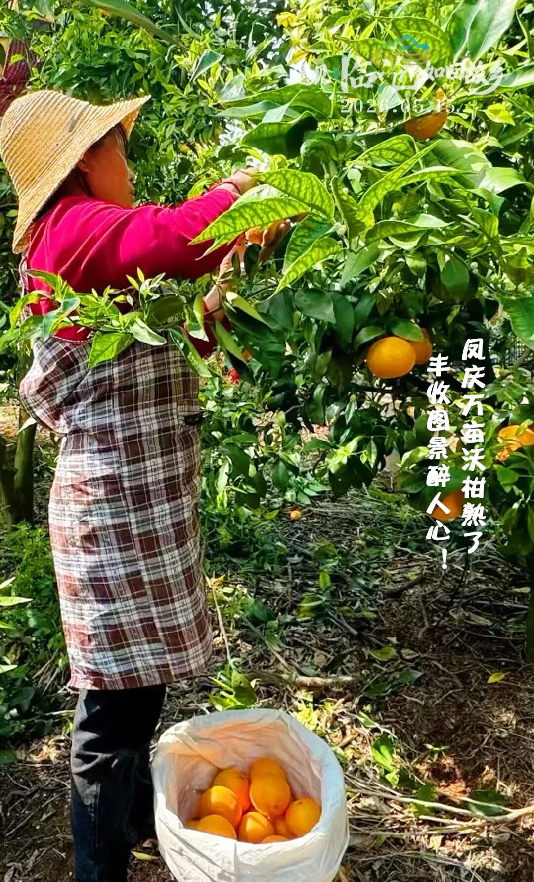 218.jpg