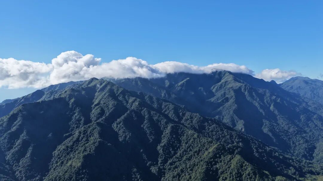 大雪山自然保护区.jpg