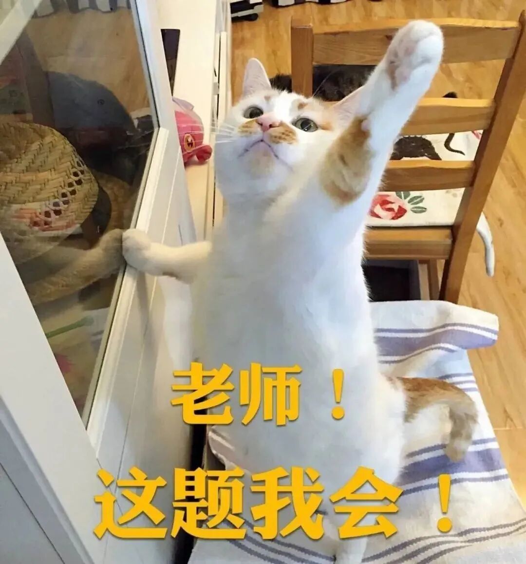 光疗时为什么黑眼罩黄光疗法的「光子密码」：590nm波长如何让黑色素集体罢工？_https://www.jmylbn.com_新闻资讯_第5张