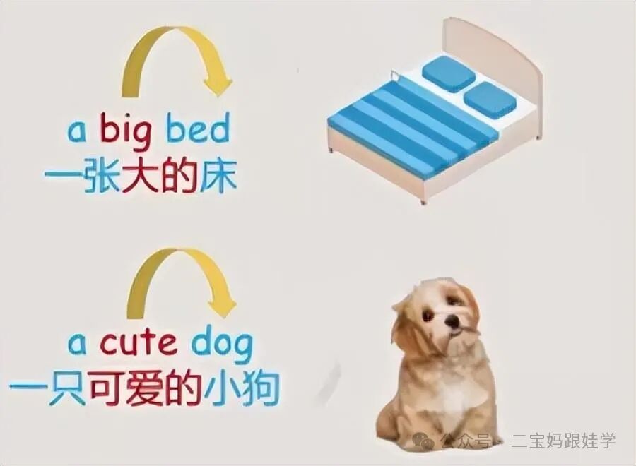 女士(she)=>her,(蛇头变尾巴),复数(they)=>their.y=>i.900_660