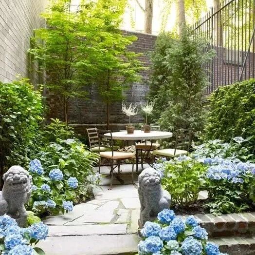 想有一处农家小院，安度晚年！