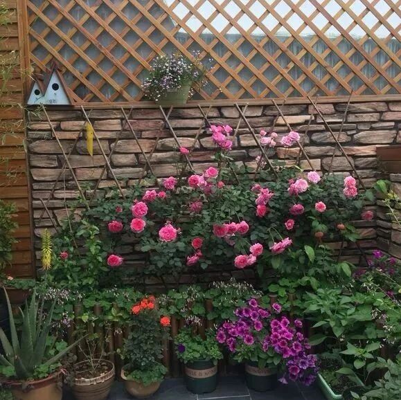 用一座露台花园，让生活摇曳生姿