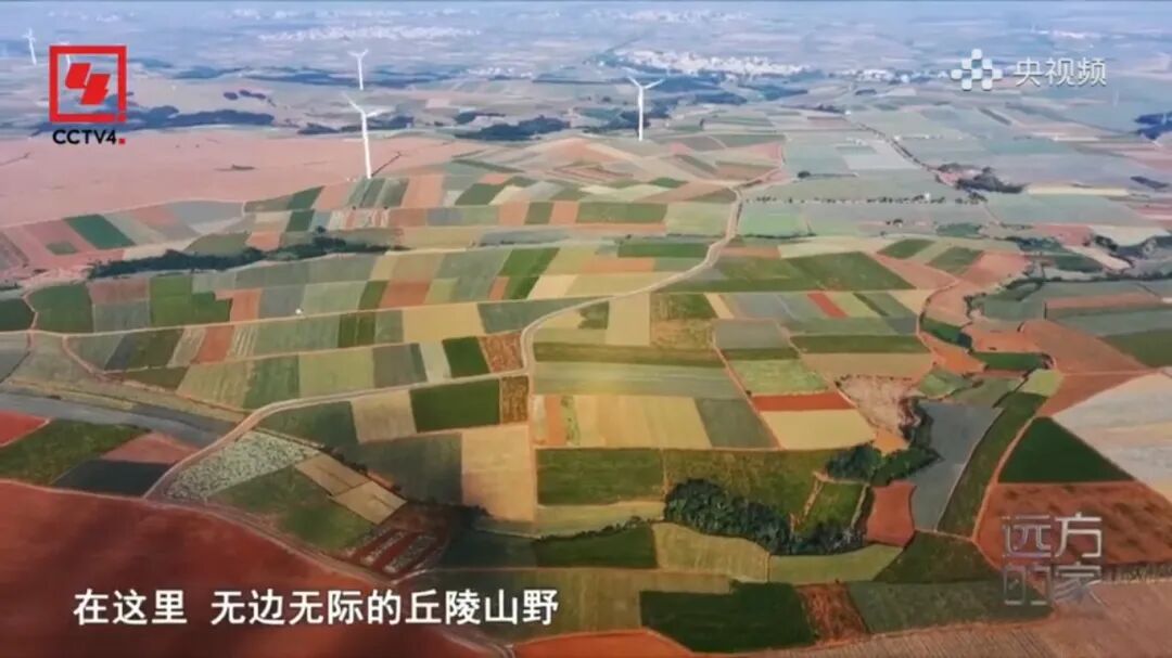 5月1日(6).jpg