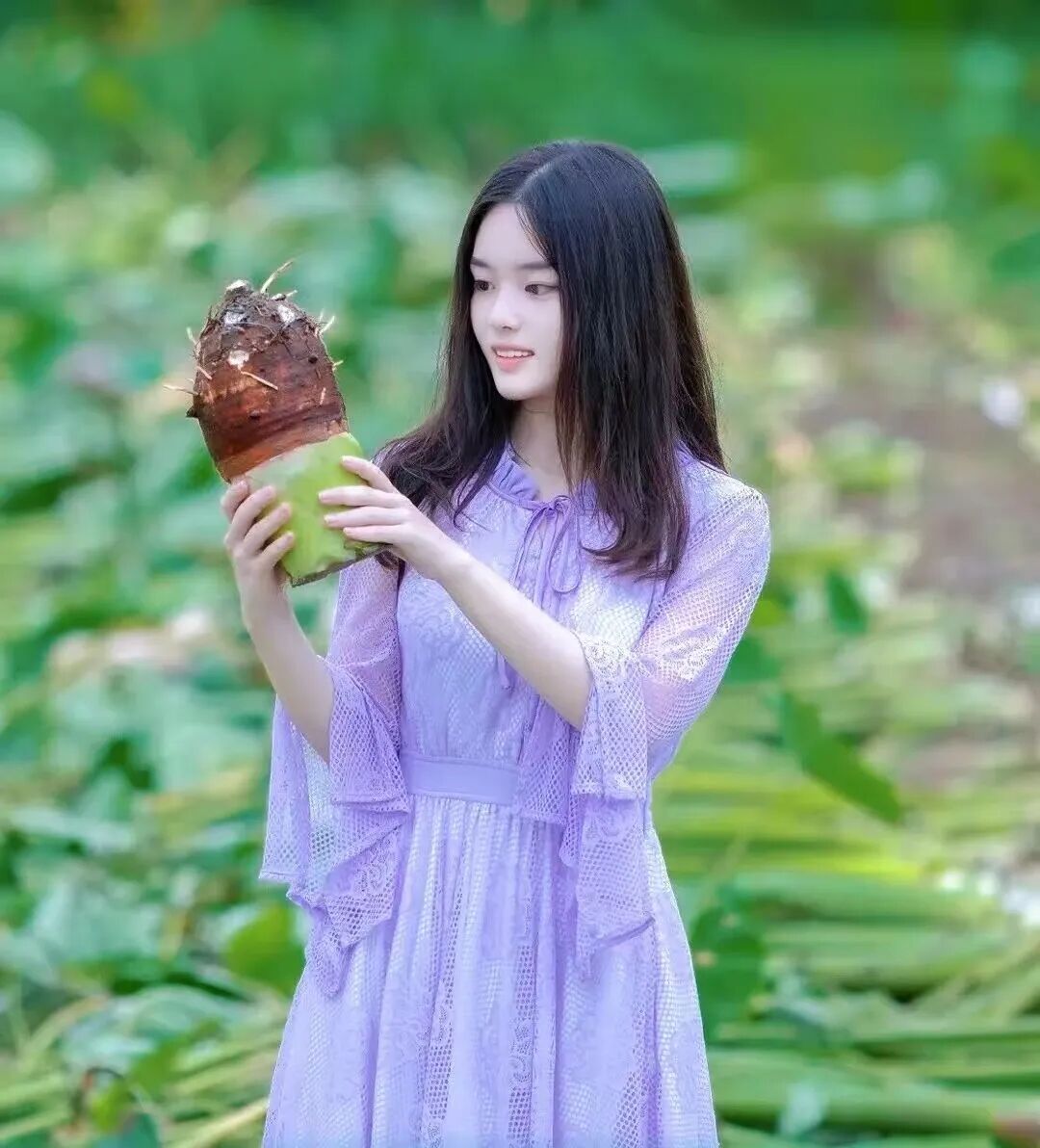 郭龙碧 摄