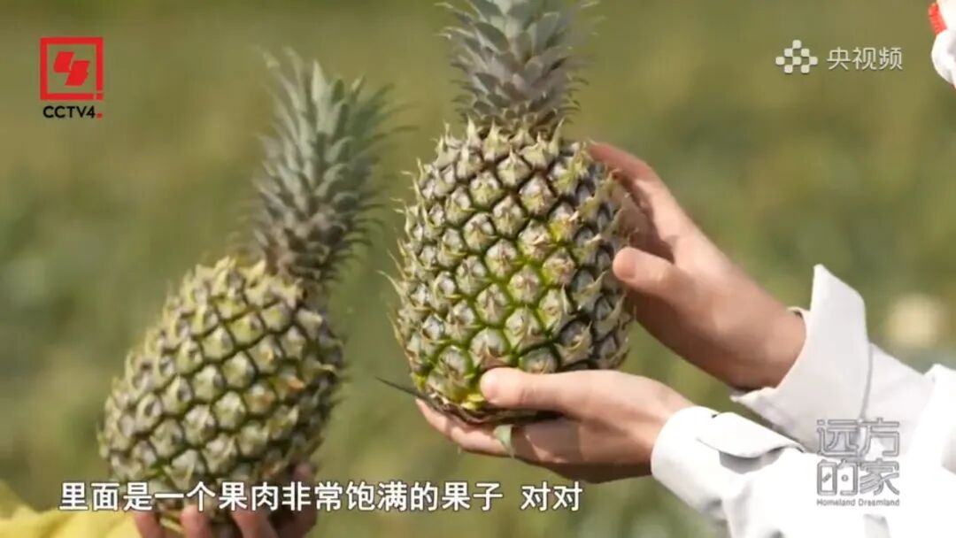 5月1日(7).jpg