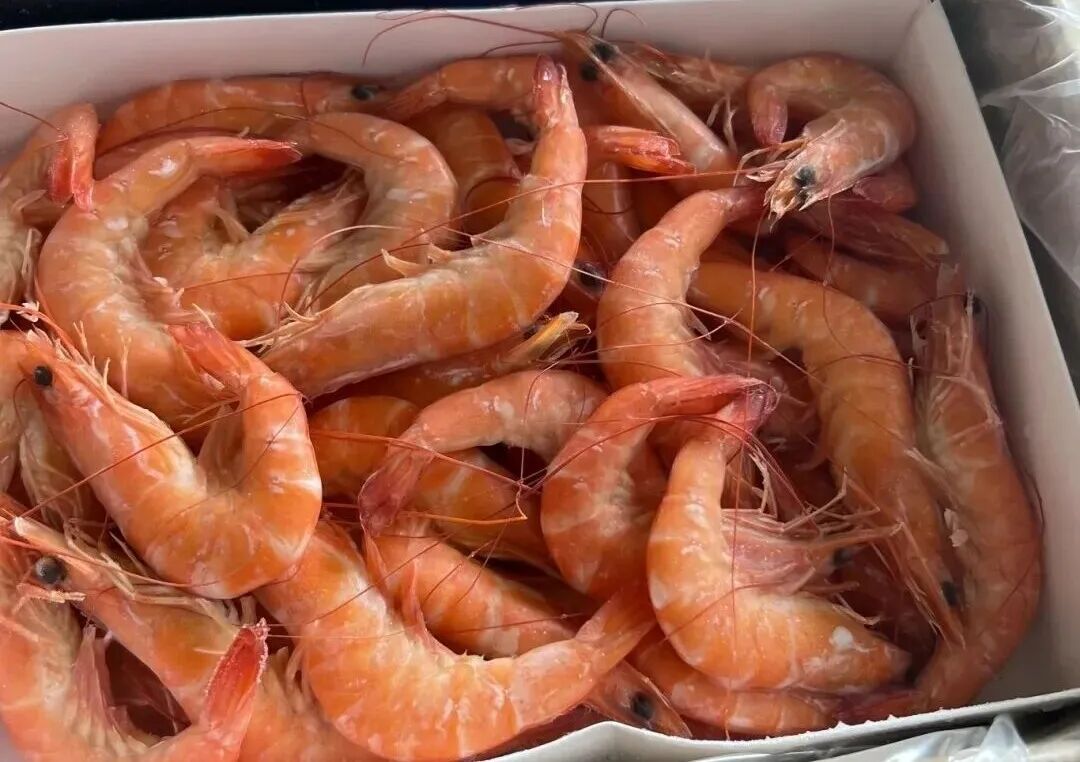 湛江对虾。 资料图片