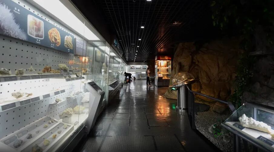 科普直播|“深海下的火山秘境”IODP 398航次“船－岸连线”