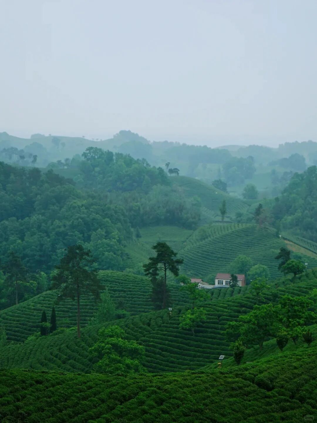 这座"山水茶都"低调的让人心疼,却是中国唯一"永久宜居城市"