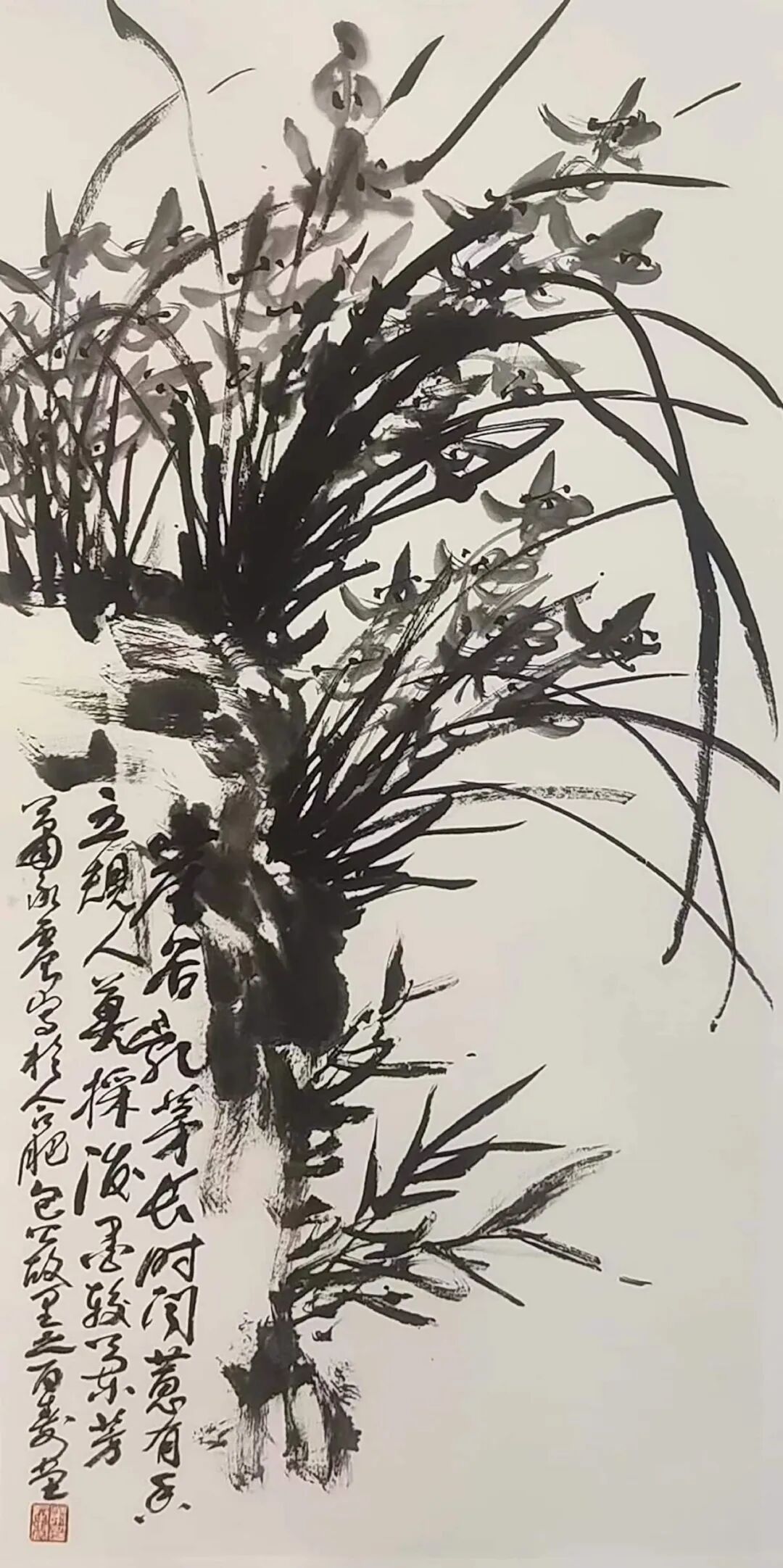 经霜益艳老来红萧承震书画展在合肥隆重开幕组图