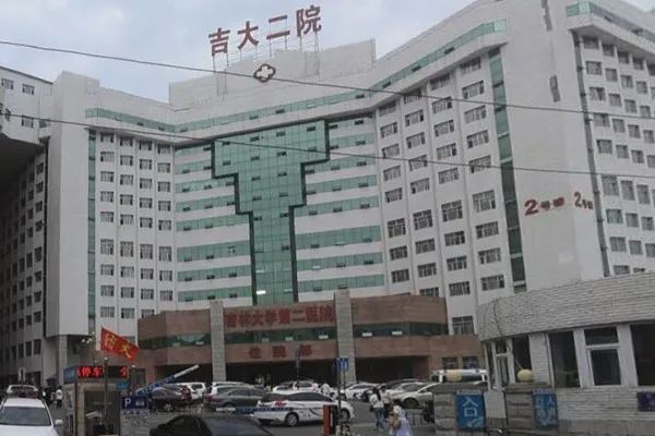 吉林大学二医院花店-南关区自强街218号吉林大学第二医院送花-六朵花