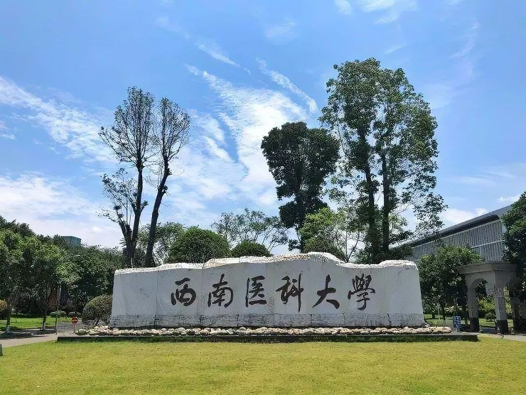 西南医科大学怎么样？好不好就业呢？就业前景好吗？ - 西南医科大学
