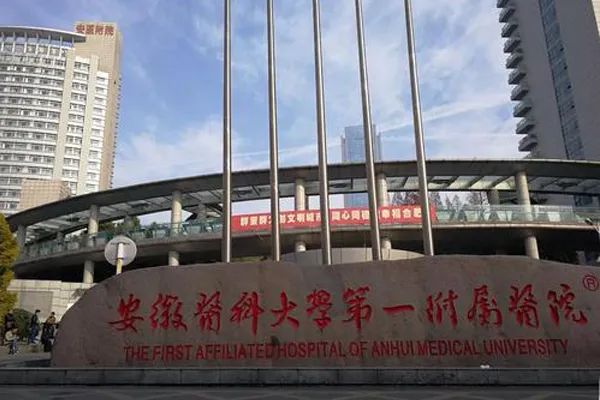 安徽医科大学第一附属医院_地址_费用|多少钱_技术|成功率_试管婴儿医院 -试管邦