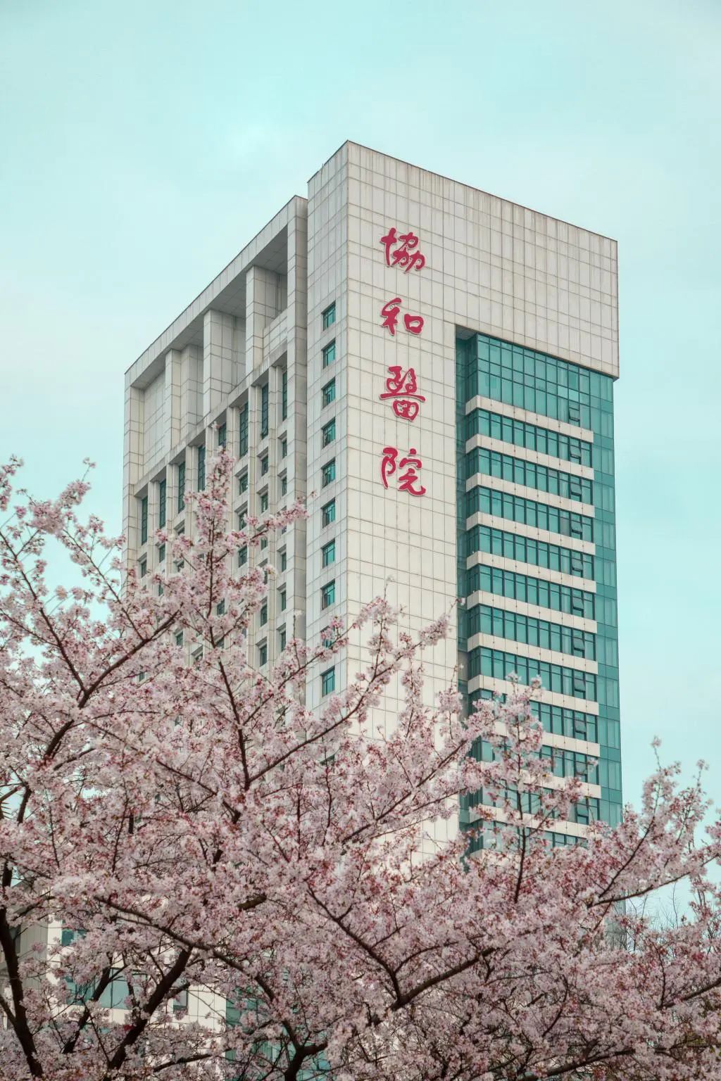 武汉协和医院155周年院庆