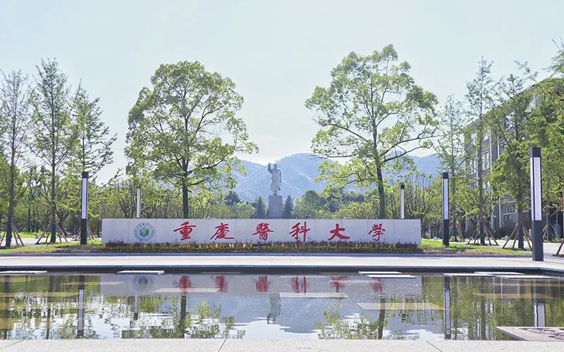 重庆医科大学介绍-掌上高考