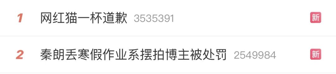 秦朗丢寒假作业系摆拍 博主被处罚 本人道歉