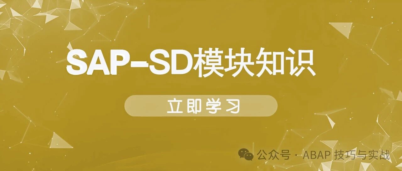 玩转 SAPSD 销售管理之工程项目销售 - 封面图