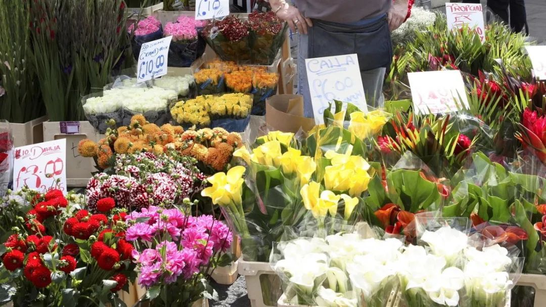 姹紫嫣红：总有一朵花可以点亮你的世界！英国花市大盘点