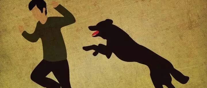 认识狂犬病，了解狂犬病