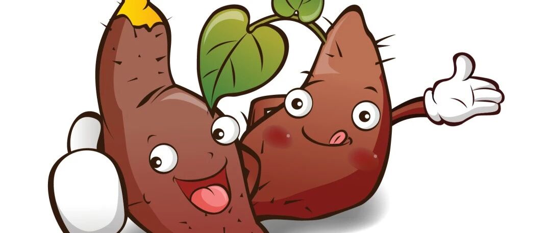 "其貌不扬"的薯类怎么吃更好？