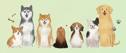 狂犬病：知真相 不恐狂