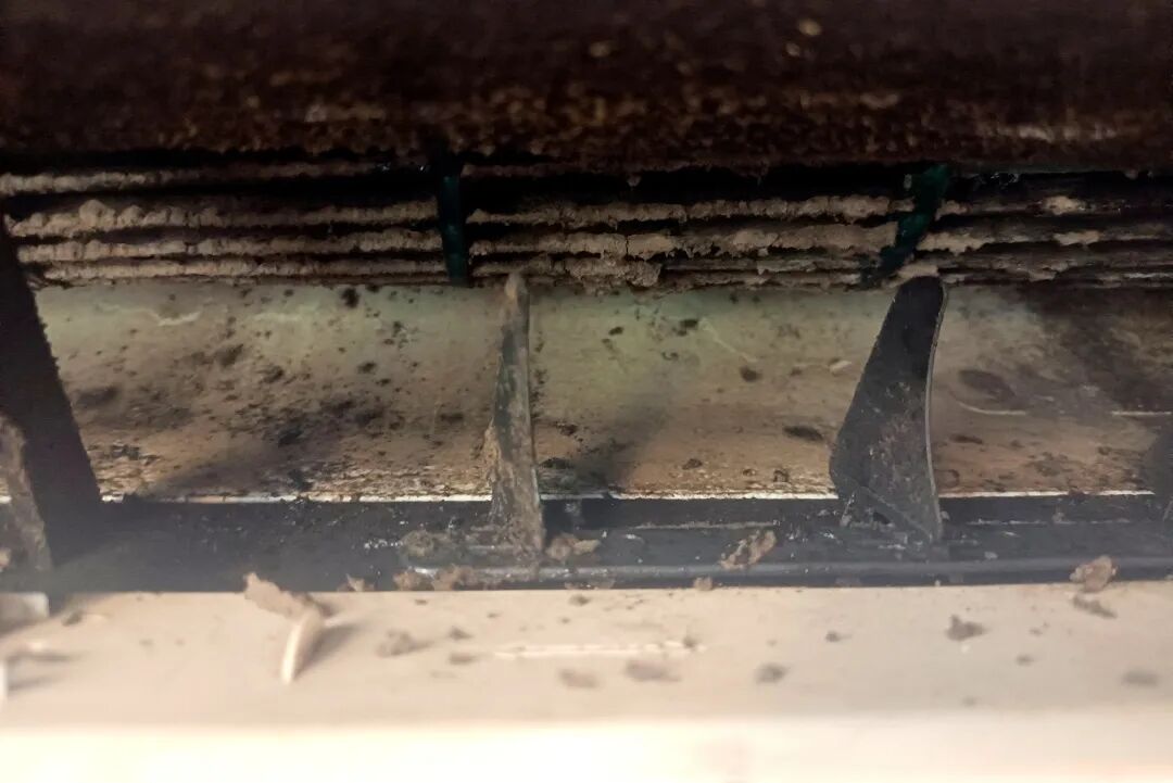 2d5d985a003b481ca5fde94d06638a26~tplv-tt-origin-web_gif