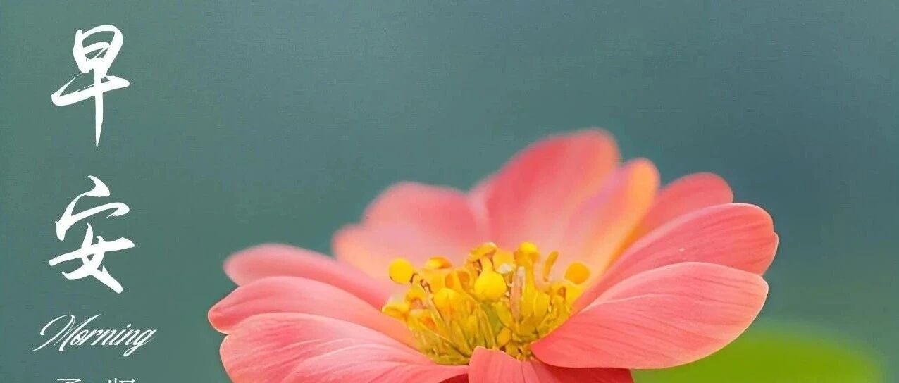 中老年早安祝福：朋友圈文案，这样发问候，收获满满的点赞！